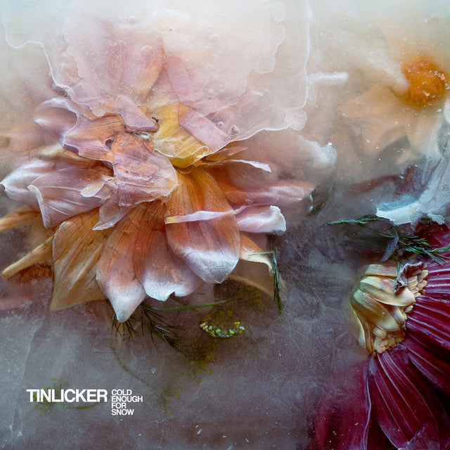 Tinlicker - Assez froid pour la neige