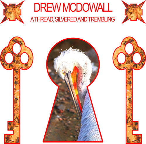 Drew McDowall - Un fil, argenté et tremblant