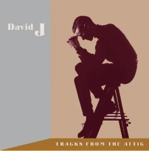David J - Tracks From The Attic [3 LP marron]