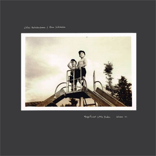 Chihei Hatakeyama - Magnifiques Petits Dudes Vol. 1