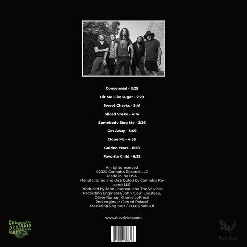 The Velvicks - Grands succès