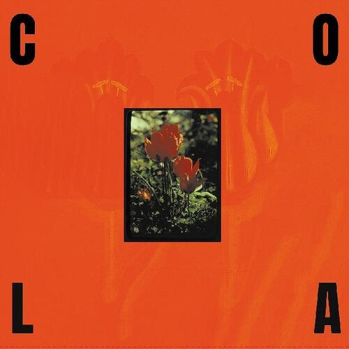 Cola - Le Gloss