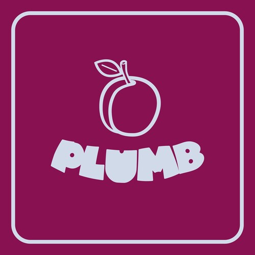 Ray Angry - Plumb [7-pouces]