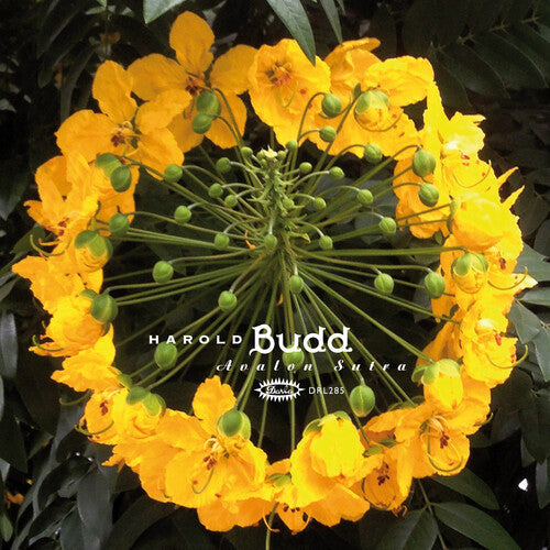 Harold Budd - Avalon Sutra [2LP]