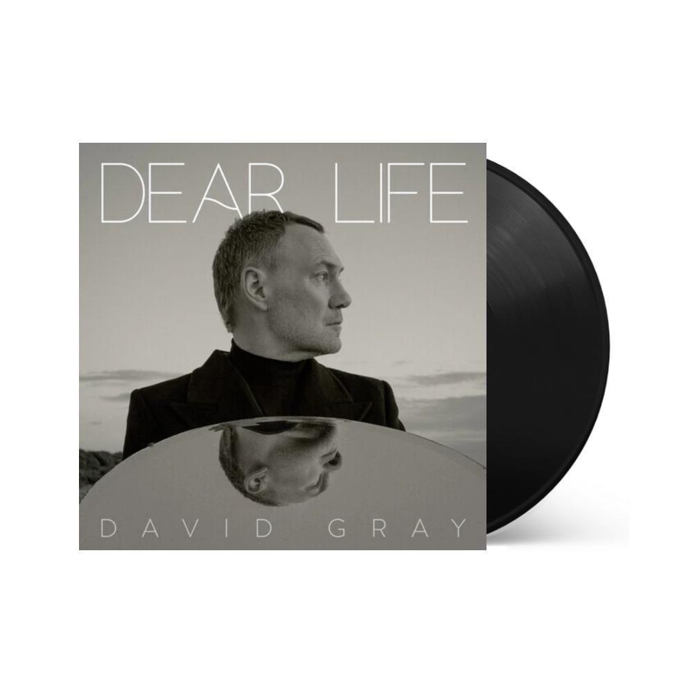 David Gray - Dear Life [2LP]