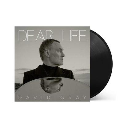 David Gray - Dear Life [2LP]