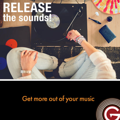 Record & Stylus Care System