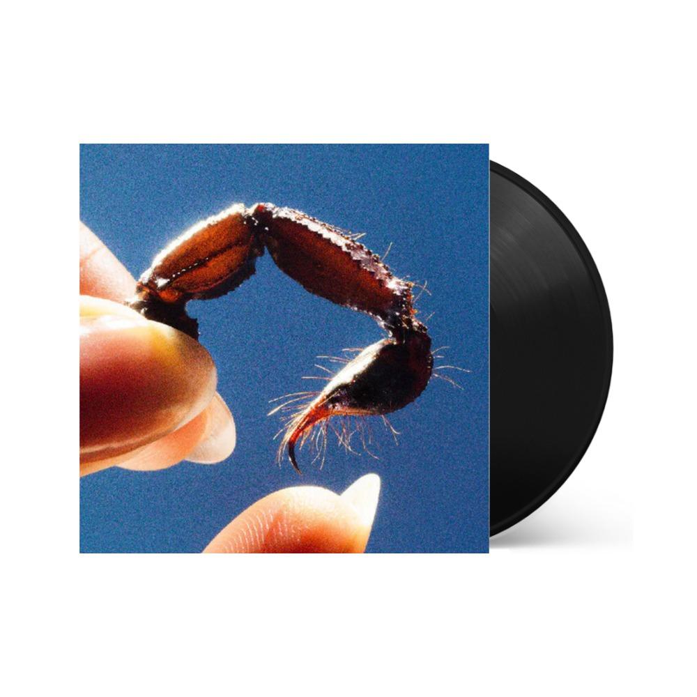 Squid - Cowards