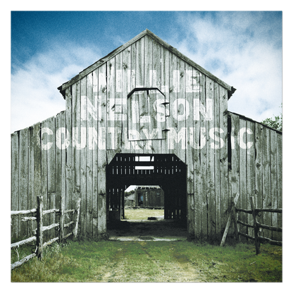 Willie Nelson - Country Music [2LP]