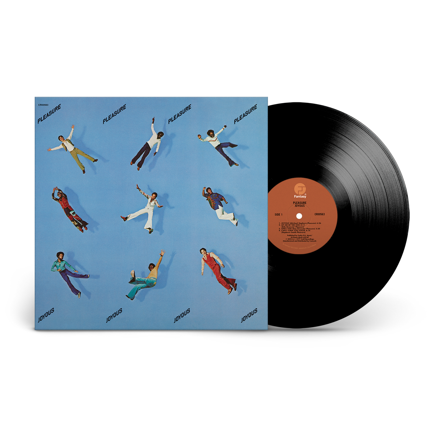 Pleasure - Joyous